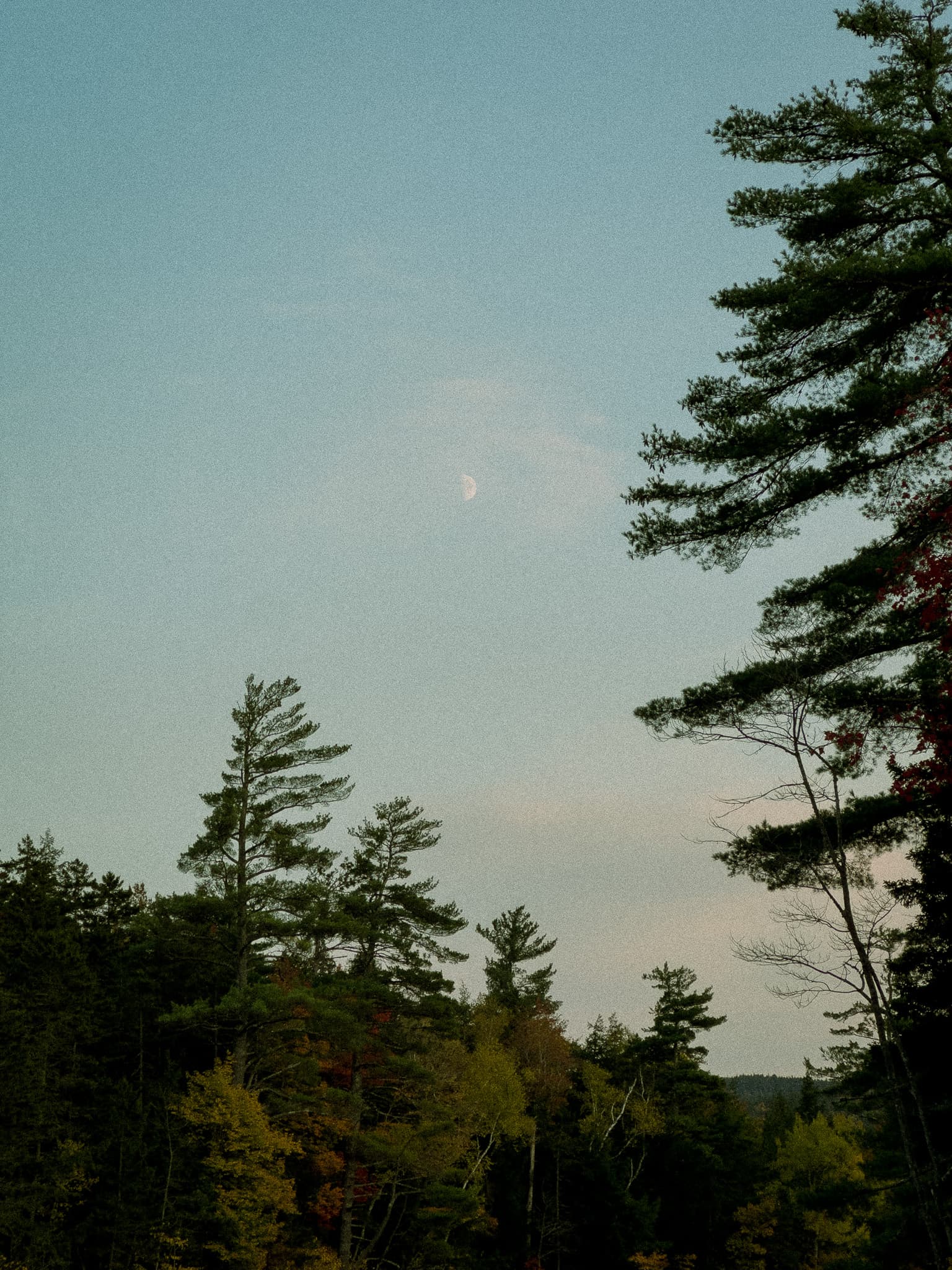 After Before and after for new_hampshire