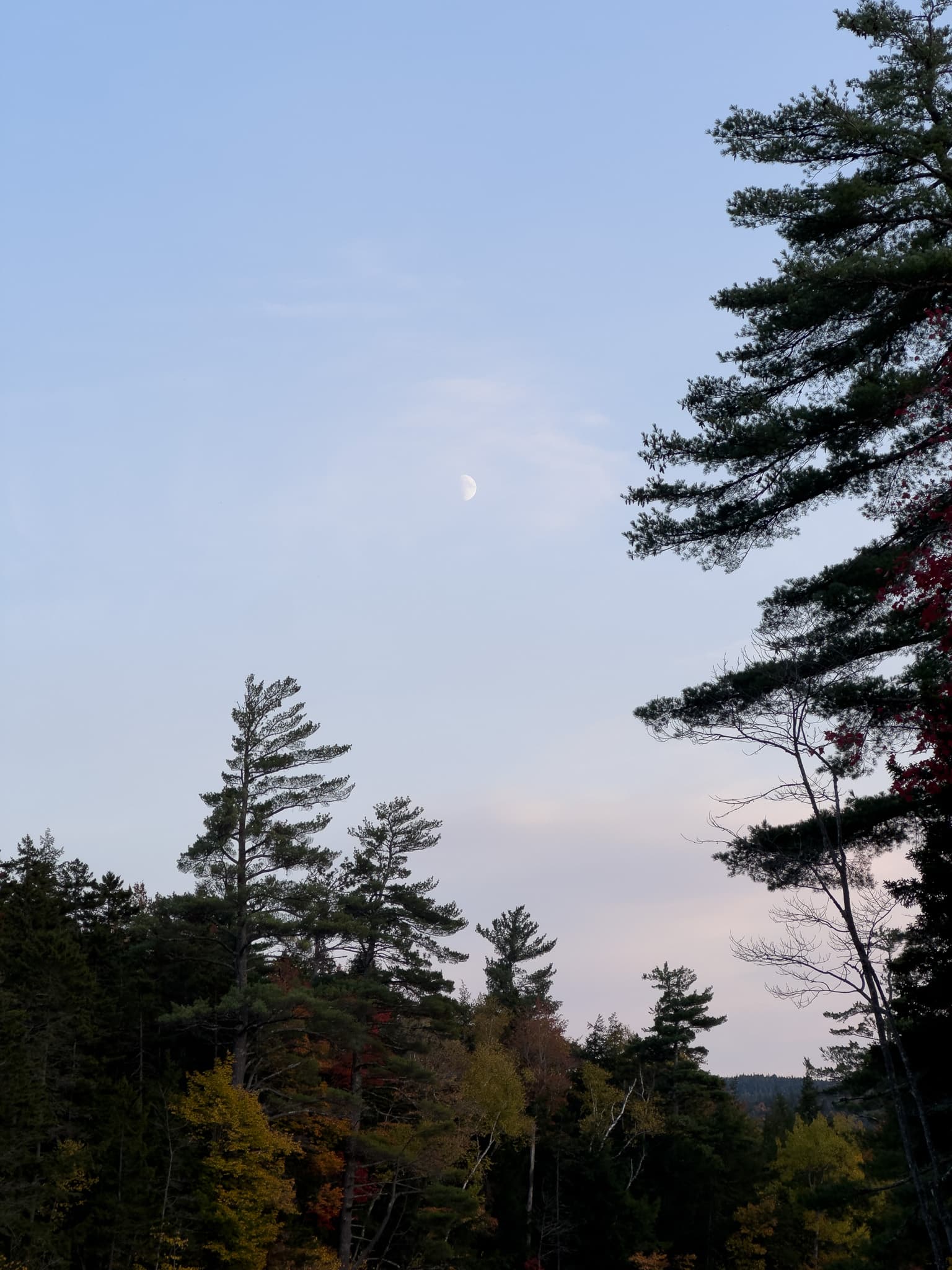 Before Before and after for new_hampshire