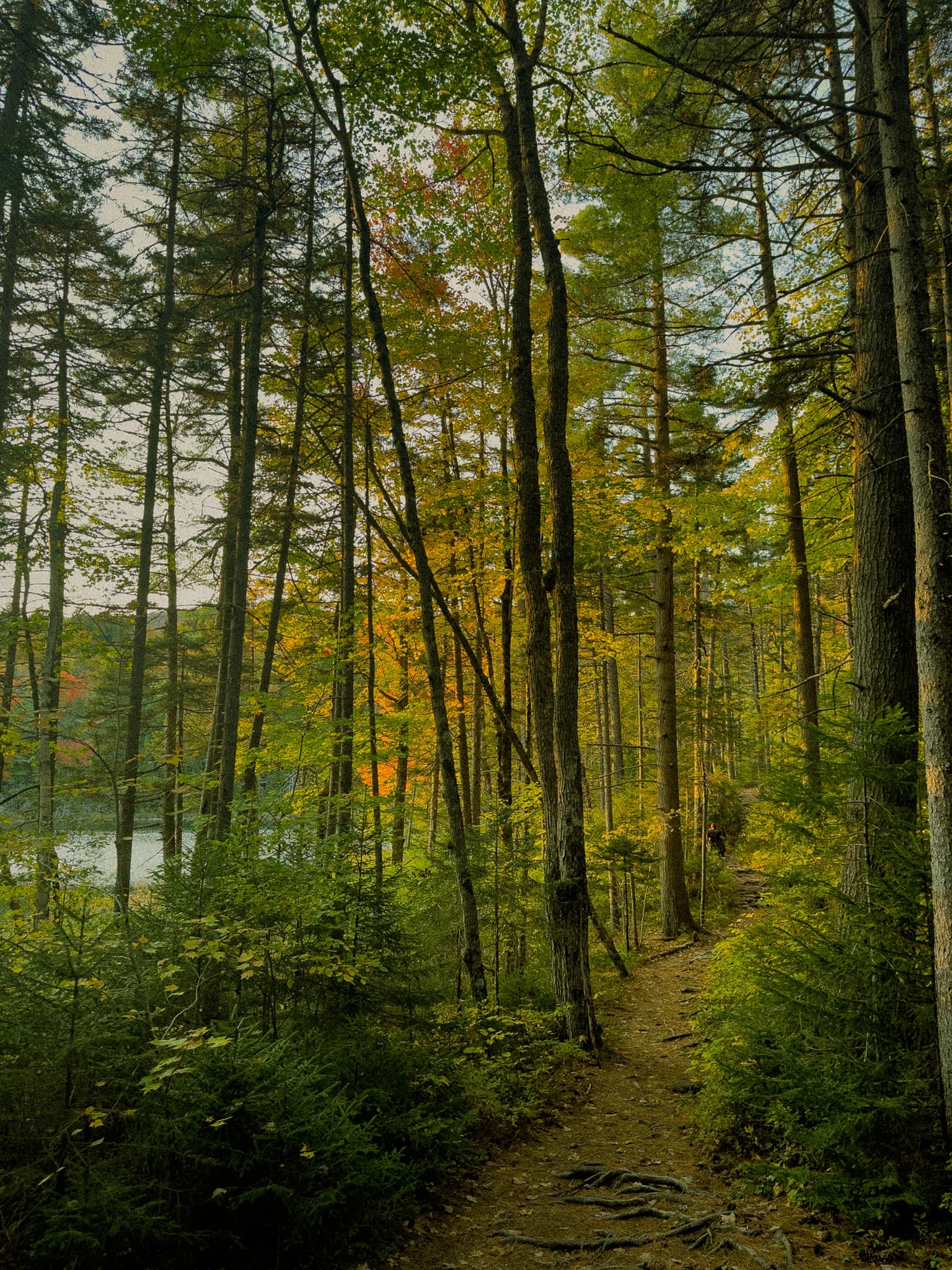 After Before and after for new_hampshire_2