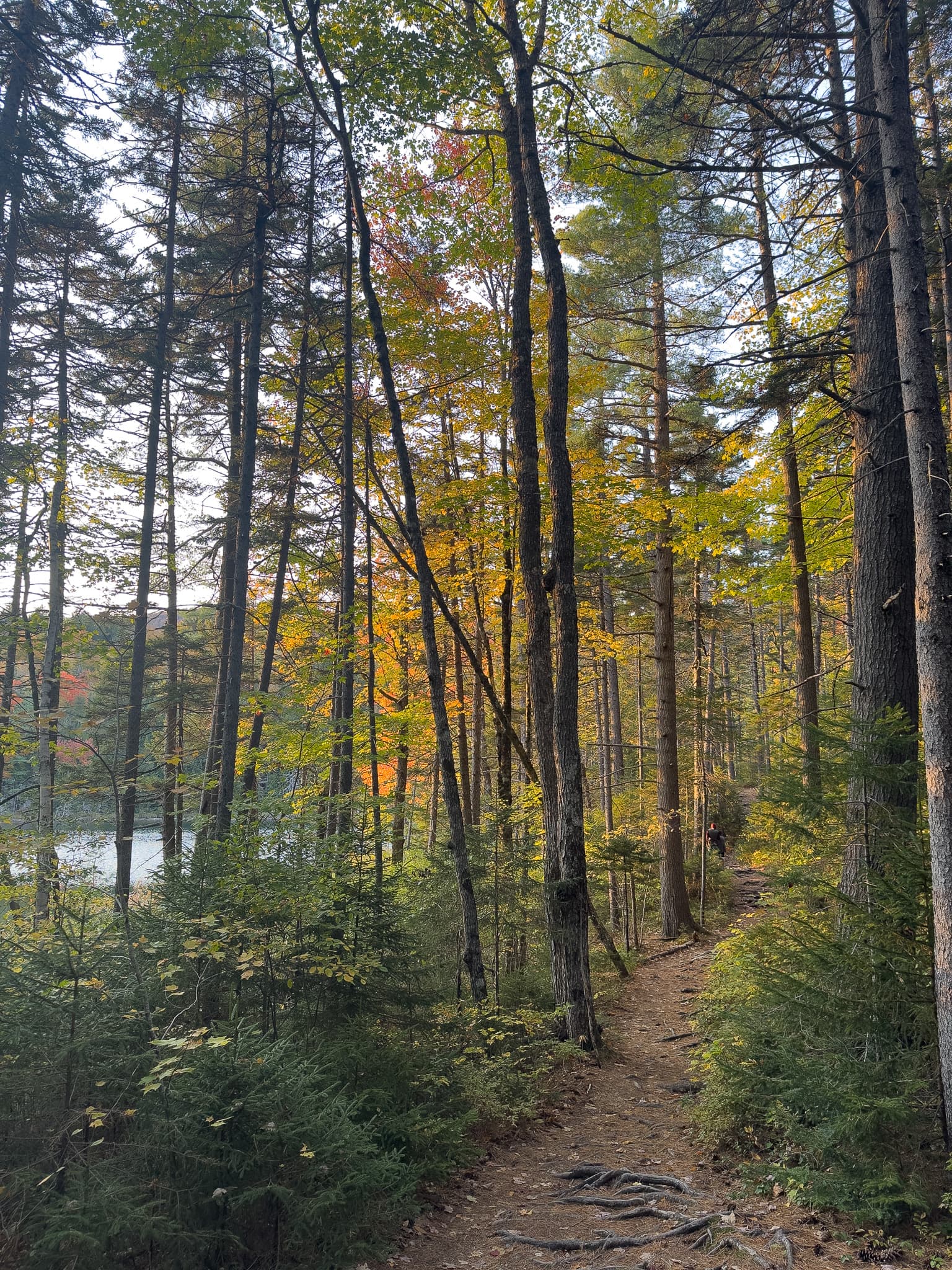 Before Before and after for new_hampshire_2